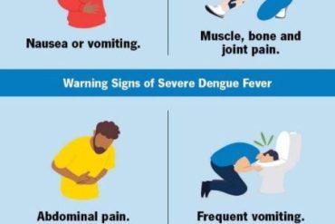 Symptoms of dengue fever appear within 4–10 days after bitten by an infected Aedes mosquito. The fever normally last for 2–7 days. The symptoms can be range from mild to severe including